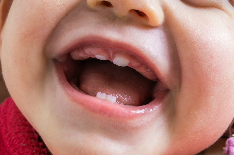 Zahnende Babys und die ersten Zähne