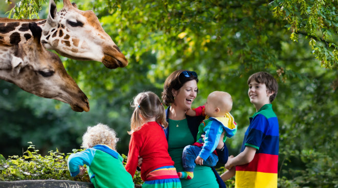 Zoo