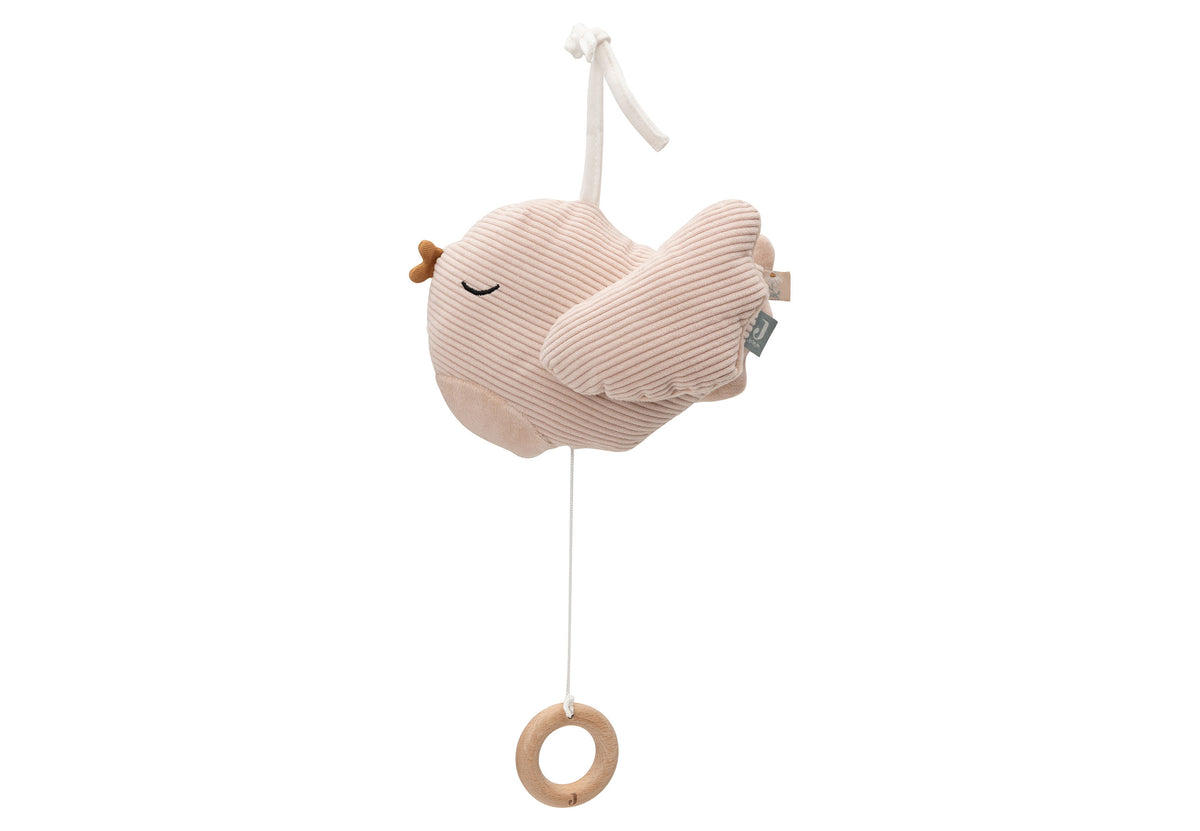 Boîte boîte de musique Birds