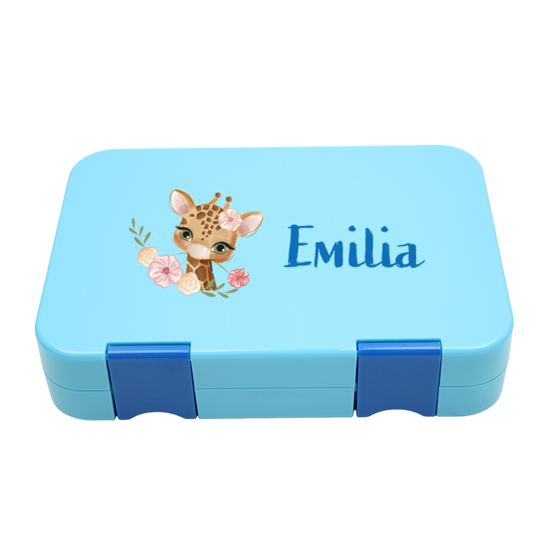Bento Box Mittel - Aqua