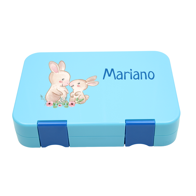 Bento Box Mittel - Aqua