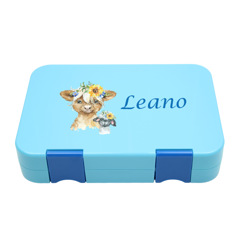 Bento Box Mittel - Aqua