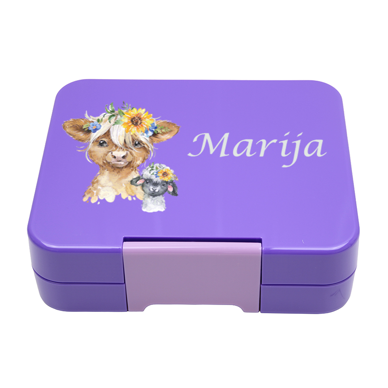 Bento Box Klein - Lila