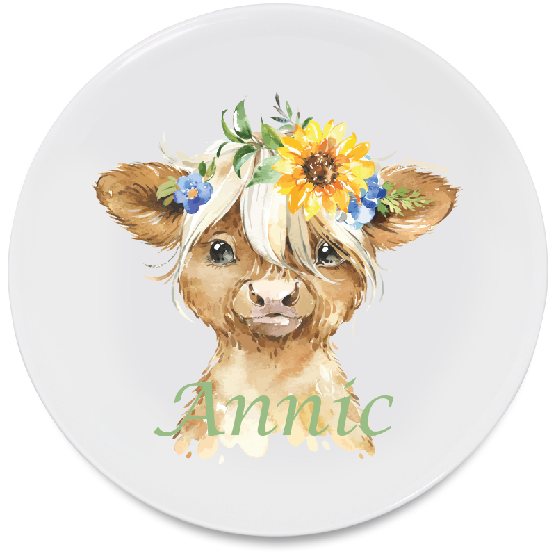 Plaque plate plate haut de gamme
