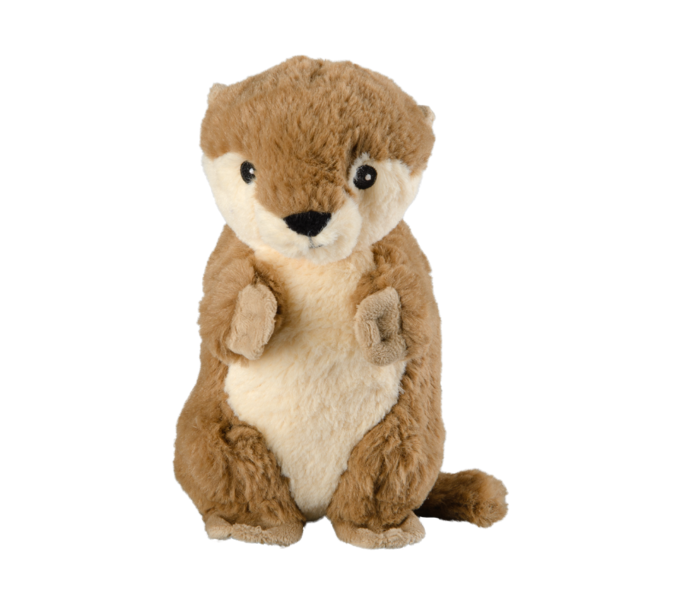 Danger de truc animal mini loutre