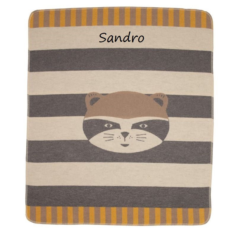 Raton laveur de couverture bébé