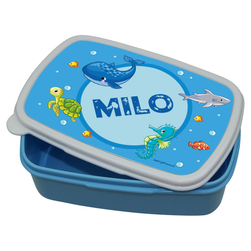 Lunchbox Plastic sous-marin