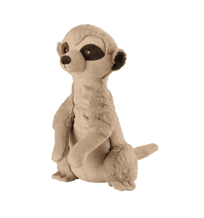 Des trucs de danger animal meerkat