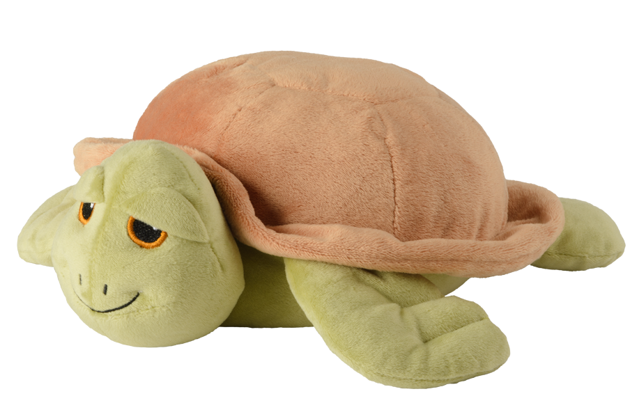 Danger de tortue animale